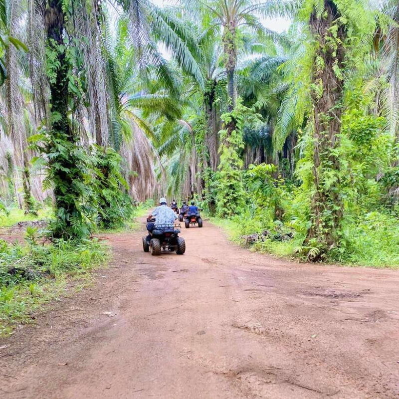 Krabi: Saitai Mountain Tail ATV Adventure - Who Will Love This Tour?