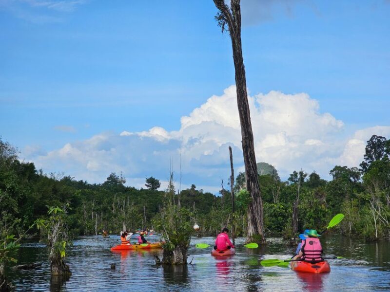 Krabi: South Kayak Klong Root Kayaking Tour - The Experience in Detail