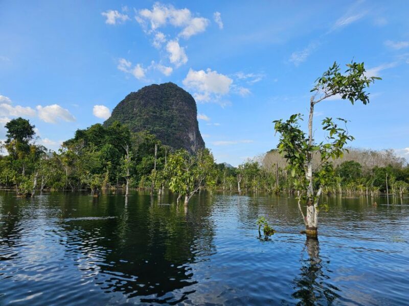 Krabi: South Kayak Klong Root Kayaking Tour - The Sum Up