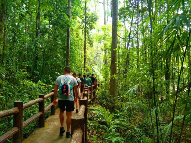 Krabi: Tiger Temple, Hot Springs & Crystal Pool Jungle Tour - Key Points