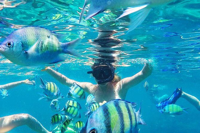 Krabi to Phi Phi Islands by Speedboat - The Experience: What It’s Really Like