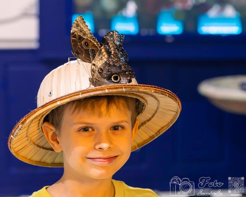 Krakow: 4 Mazes and Living Butterfly Museum Entry Ticket - Authentic Feedback from Visitors