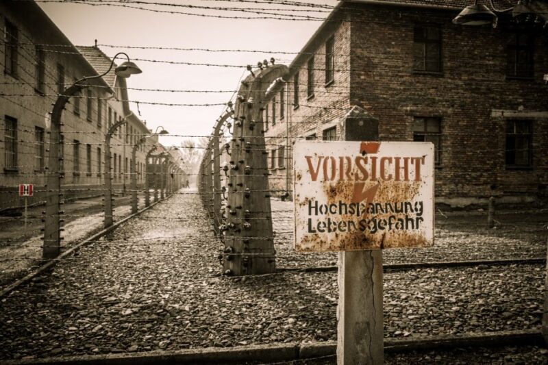 Krakow and Auschwitz Small-Group Tour from Warsaw with Lunch - Key Points