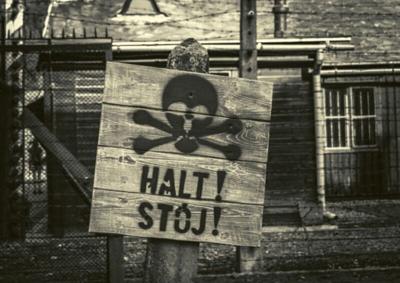 Krakow and Auschwitz Small-Group Tour from Warsaw with Lunch - Who Should Consider This Tour?