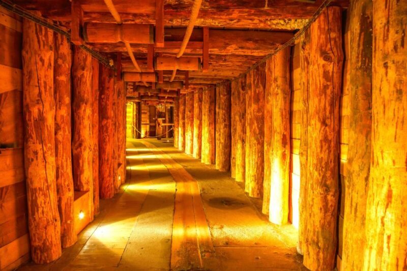 Krakow: Auschwitz-Birkenau and Wieliczka Salt Mine Day Trip - Summary of Key Aspects