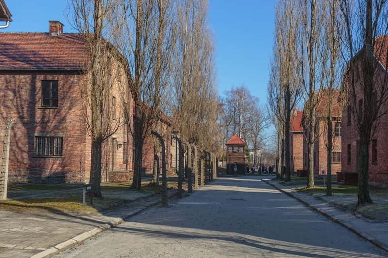 Krakow: Auschwitz-Birkenau Entry Ticket and Transfer - An In-Depth Look at the Auschwitz-Birkenau Tour