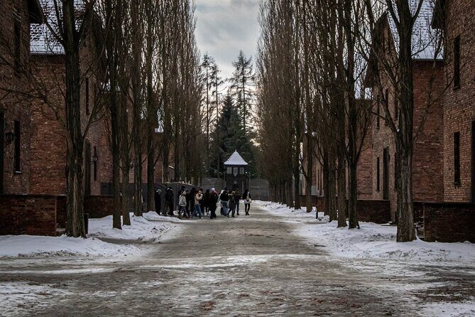 Krakow: Auschwitz Birkenau Guided Tour - Private Transportation - A Deep Dive into the Auschwitz-Birkenau Experience