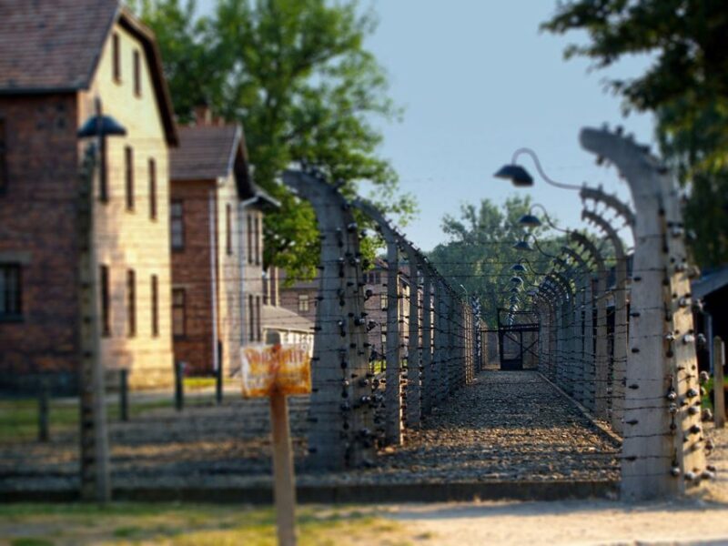 Krakow: Auschwitz Birkenau Museum Guided Tour with Pickup - A Deep Dive into the Auschwitz Birkenau Guided Tour
