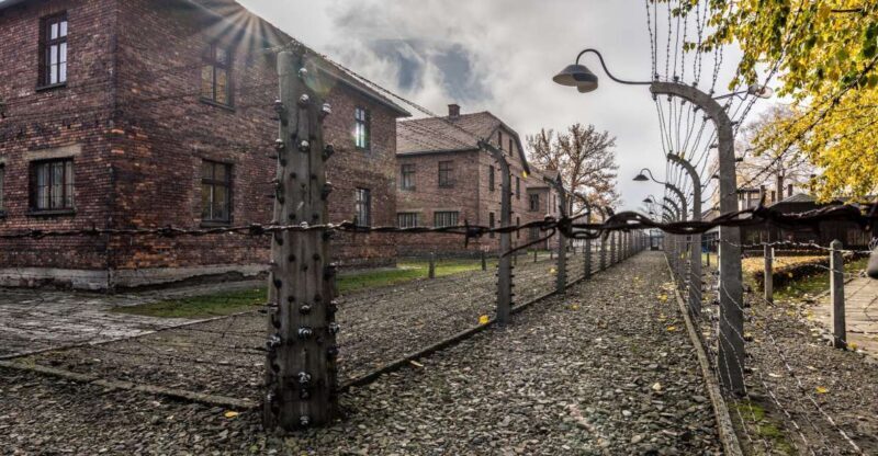 Kraków: Auschwitz-Birkenau & Salt Mine Full-Day Guided Tour - Who Will Love This Tour?