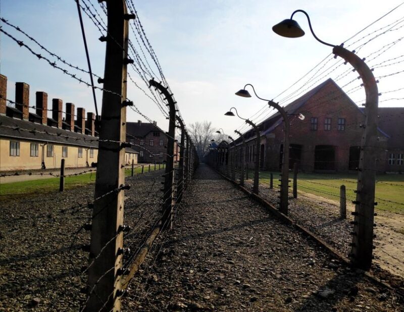Krakow: Auschwitz-Birkenau & Wieliczka Salt Mine with Lunch - Key Points