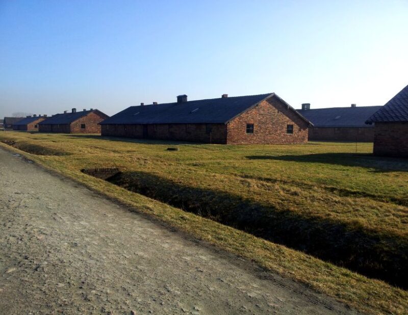 Krakow: Auschwitz-Birkenau & Wieliczka Salt Mine with Lunch - What Makes This Tour Stand Out?