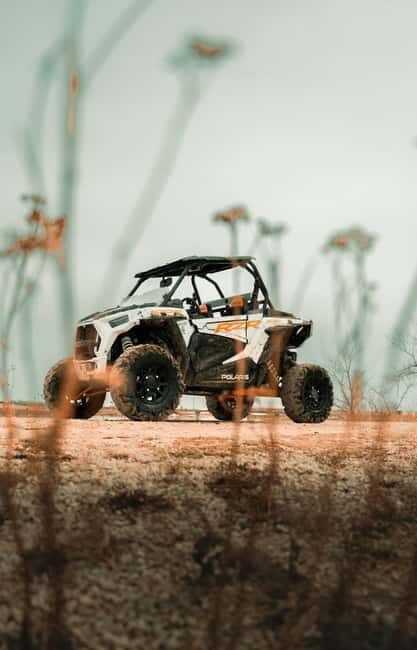 Kraków: Buggy Ride Adventure with Bonfire and Thermal Pools - Who Will Love This Tour?