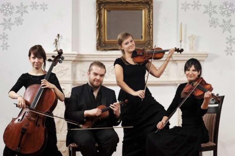 Krakow: Christmas Music Concert With Wine - Who Should Book This?
