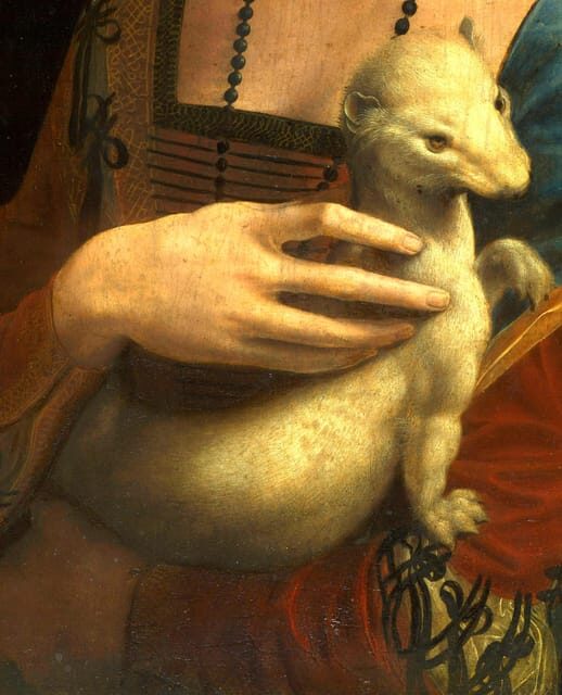 Krakow: Czartoryski Museum Guided Tour in English - Krakow: Czartoryski Museum Guided Tour in English