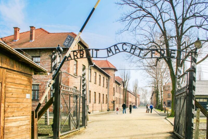 Krakow: Full-Day Auschwitz-Birkenau & Salt Mine Guided Tour - A Deep Dive into the Experience