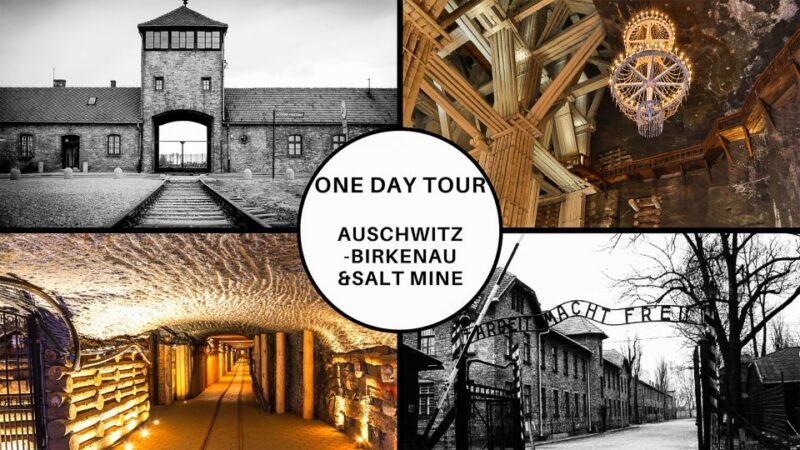 Krakow: Full-Day Auschwitz-Birkenau & Salt Mine Guided Tour - Final Thoughts: Who Will Benefit Most?