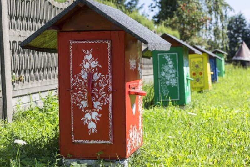 Krakow: Guided Day Tour of Zalipie Village & Museum Entry - Who Will Love This Trip?