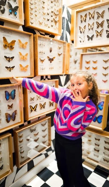 Krakow: Museum of Living Butterflies 2+1 - An In-Depth Look at the Krakow Butterfly Museum Experience