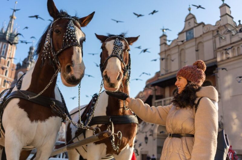 Krakow Old Town and National Museum Private Guided Tour - Final Thoughts