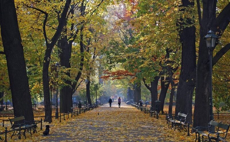 Krakow: Old Town "Royal Route" Walking Tour - Exploring Krakows Old Town: What to Expect