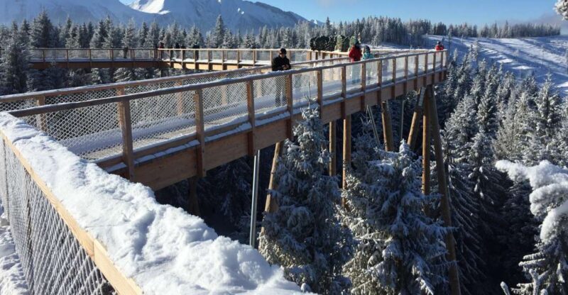 Krakow: Slovakia Treetop Walk & Zakopane Tour (Hotel Pickup) - Key Points
