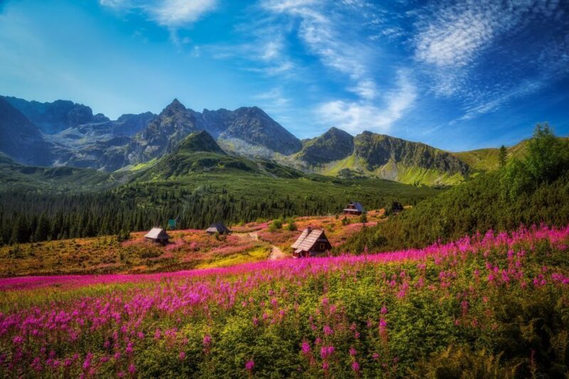 Krakow: Tatra Mountains and Zakopane Full-Day Private Tour - Krakow: Tatra Mountains and Zakopane Full-Day Private Tour