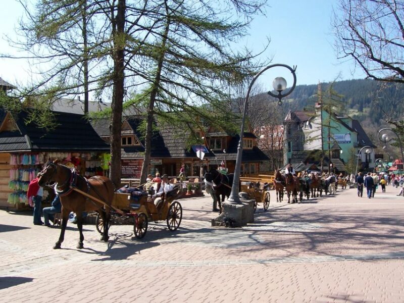 Krakow: Tatra Mountains and Zakopane Full-Day Private Tour - Additional Resources