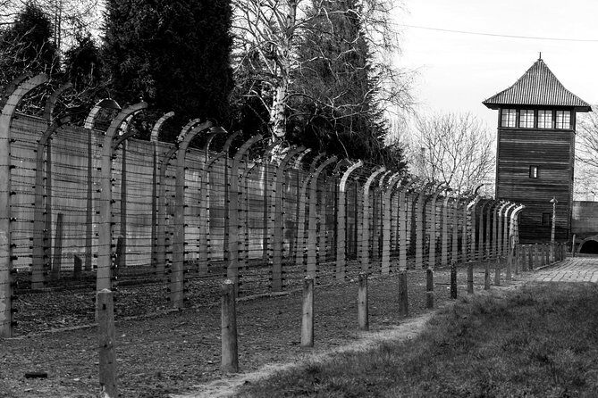 Krakow to Auschwitz Birkenau Guided Tour with Ticket Hotel Pickup - In-Depth Review: Visiting Auschwitz from Krakow