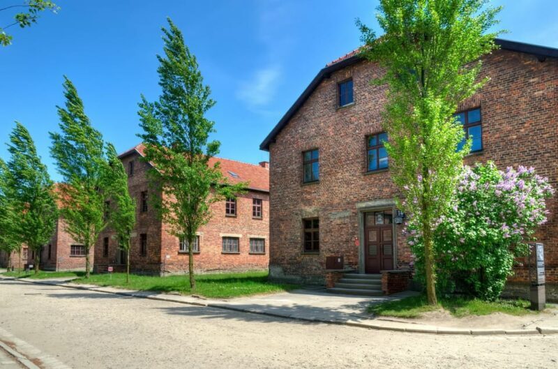 Krakow: Wieliczka Salt Mine and Auschwitz-Birkenau Tour - A Deep Dive into the Tour Experience