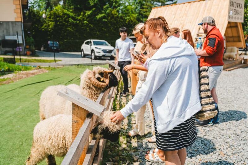 Krakow: Zakopane Day Trip with Funicular Ride - FAQ
