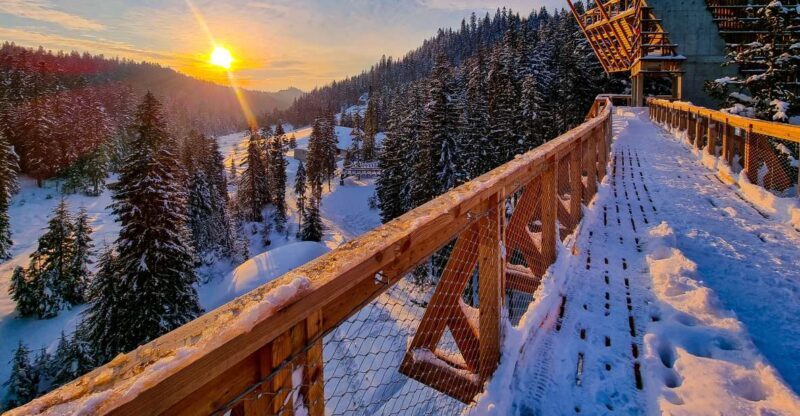 Krakow: Zakopane, Mountains Treetop Walk & Thermal Baths - Practical Tips for Making the Most of Your Day