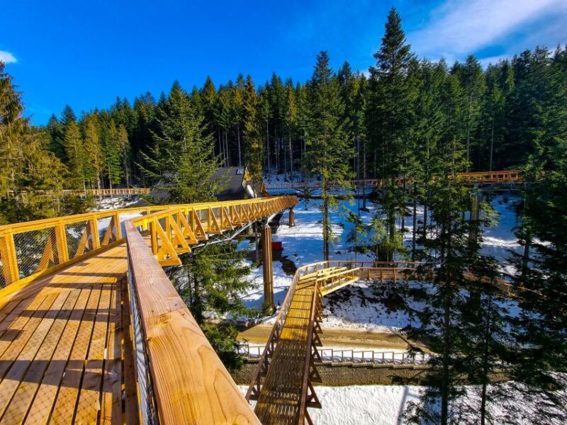 Krakow: Zakopane, Mountains Treetop Walk & Thermal Baths - Final Thoughts
