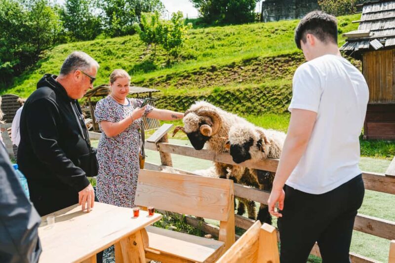 Krakow: Zakopane Tour with Hot Springs, Cable Car & Tasting - Who Will Love This Tour?