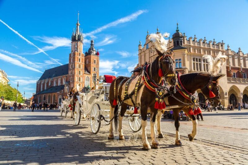 Krakow: Zoo Tour with Private Transport and Tickets - The Sum Up: Is This Tour Right for You?