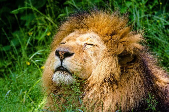 Krakow: Zoo with Hotel Transfer - Who Should Consider This Tour?