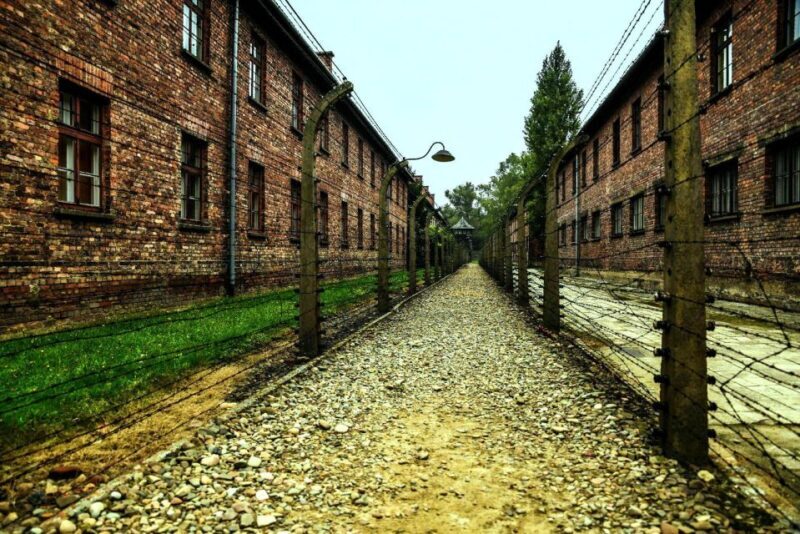 Krakow:Guided Auschwitz-Birkenau Tour - Transport by Minivan - An In-Depth Look at the Auschwitz-Birkenau Guided Tour