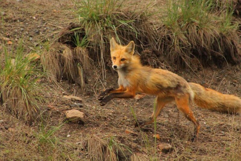Kremmling: Colorado River Rafting With Hot Springs - Kremmling: Colorado River Rafting With Hot Springs