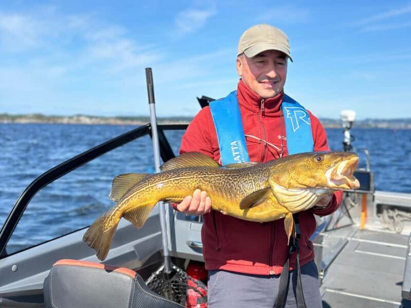 Kristiansand: Guided Sea Fishing Experience - Trip Length and Customization