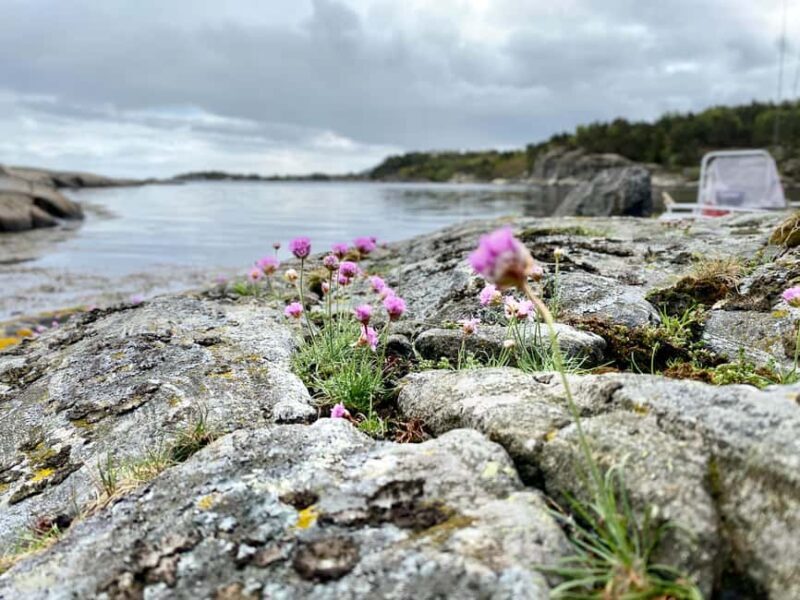 Kristiansand: Guided Sea Fishing Experience - Practicalities and Tips