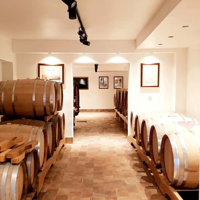 Krk: Family-Owned Winery Tour and Tasting - Key Points