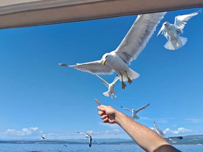 Krk: Golden Beach and Blue Cave Cruise with Welcome Drink - Authentic Experiences: What Travelers Say