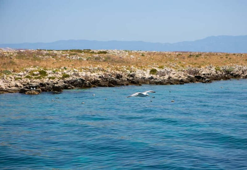 Krk : Sailing along the coasts of island Krk and Plavnik - Swimming and Snorkeling Opportunities