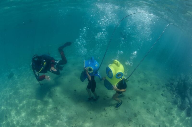Krk: Skip-the-Line Entry to Underwater Park Punat - The Sum Up: Is This Tour Right for You?