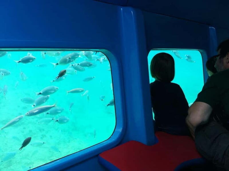 Krk: Underwater Semi-Submarine Adventure - The Experience Through Travelers’ Eyes