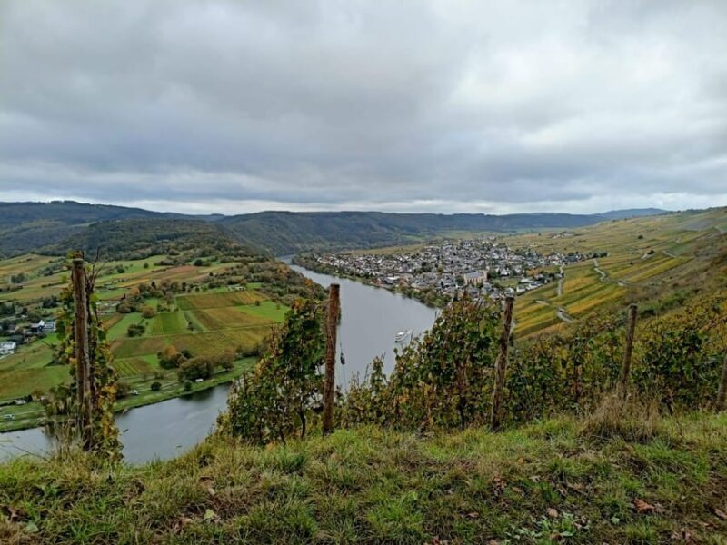 Kröv, Moselle: COVERED WAGON RIDE through the vineyards with wine tasting - Kröv, Moselle: COVERED WAGON RIDE through the vineyards with wine tasting