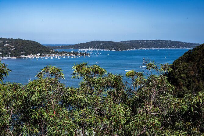 Ku ring gai National Park Hike with Beach and Picnic - Summary