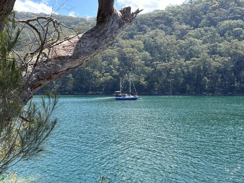 Ku-ring-gai National Park: Private Boat Tour - Practical Tips and Considerations