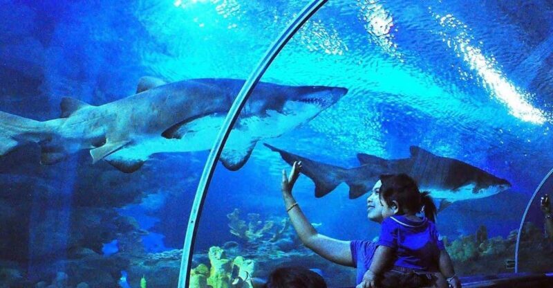 Kuala Lumpur: Aquaria KLCC Entry Ticket - Final Thoughts: Is It Worth Visiting?