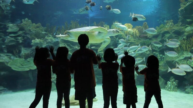 Kuala Lumpur: Aquaria KLCC Entry Ticket - FAQ