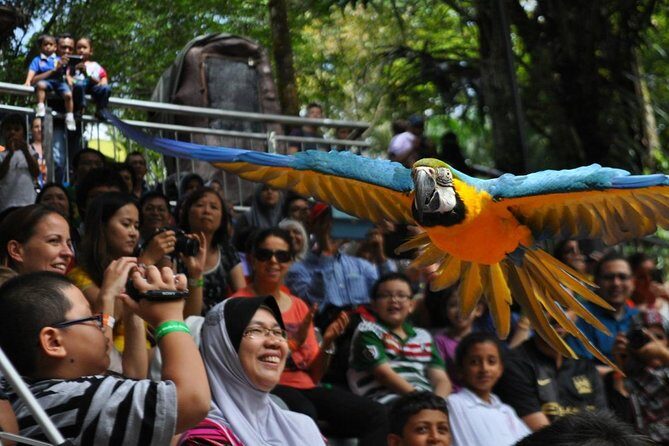 Kuala Lumpur Bird Park Admission Ticket with Private Pickup - Who Should Consider This Tour?